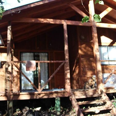 Villa Cabana Bosque Viejo à Las Trancas Extérieur photo