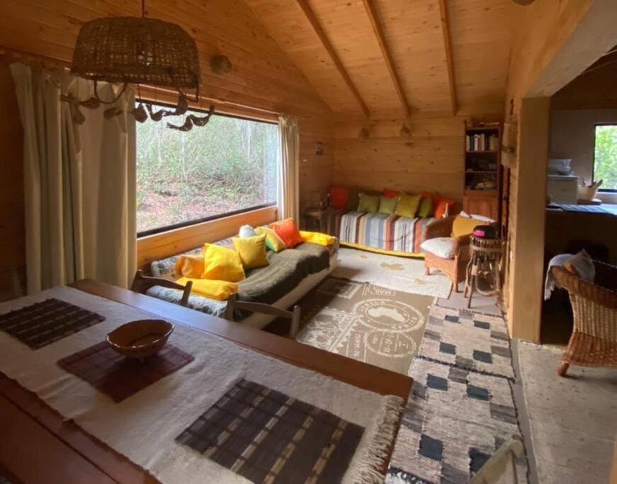 Villa Cabana Bosque Viejo à Las Trancas Extérieur photo