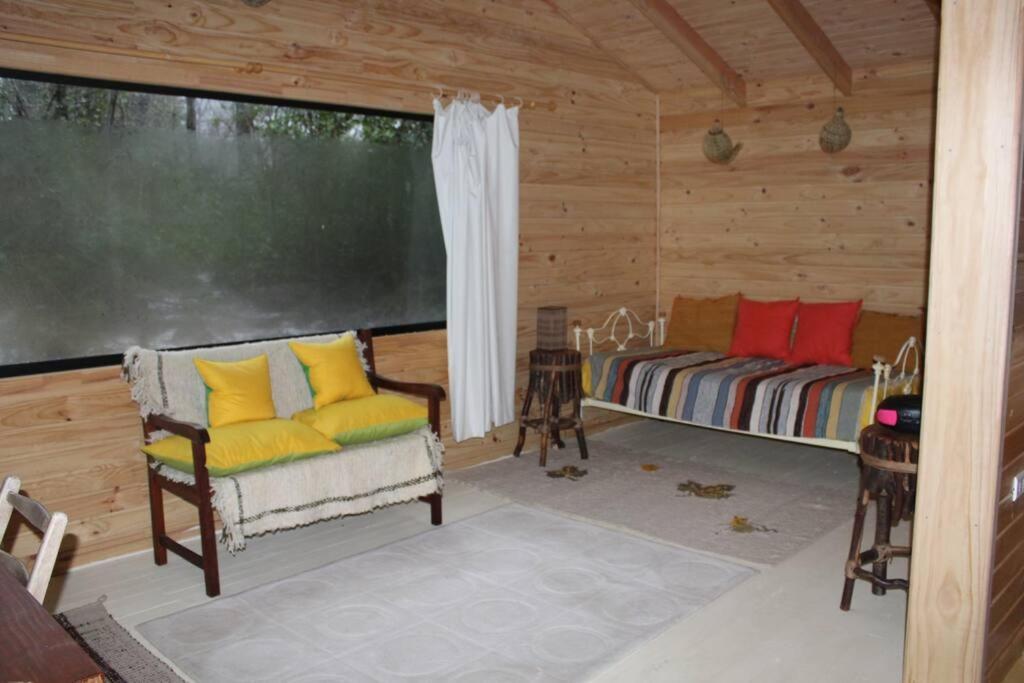 Villa Cabana Bosque Viejo à Las Trancas Extérieur photo