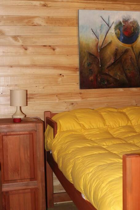 Villa Cabana Bosque Viejo à Las Trancas Extérieur photo