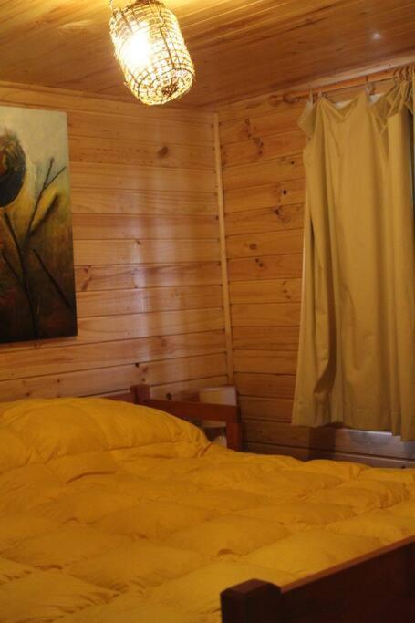Villa Cabana Bosque Viejo à Las Trancas Extérieur photo